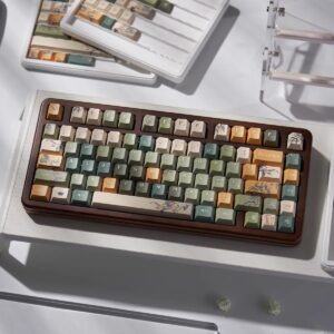 import placeholder for 15081798