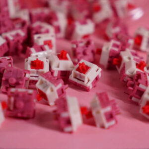 import placeholder for 15064291