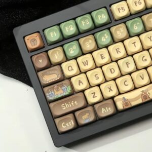 import placeholder for 15081855