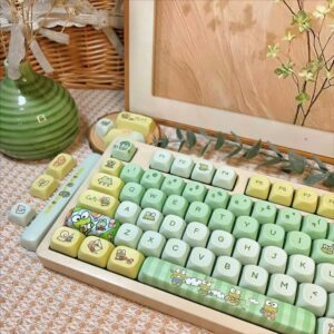 import placeholder for 15081668