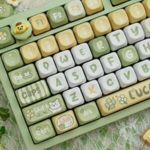 import placeholder for 15081508