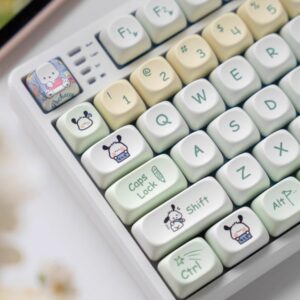 import placeholder for 15081553