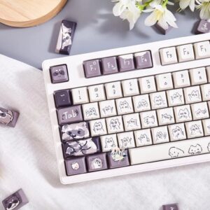 import placeholder for 15081525