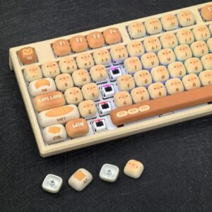 import placeholder for 15064267