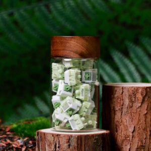 import placeholder for 15064290