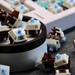 import placeholder for 15064272